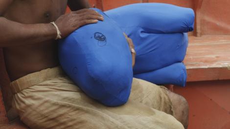 The blue stuffed creature allowed the actor'to appear as though he were actually petting the tiger.